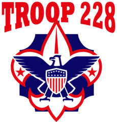 Troop 228